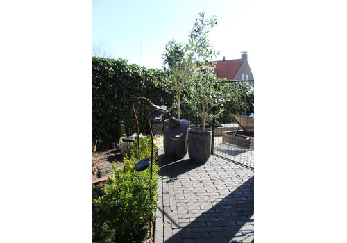 Solar tuinprikker / booglamp roest 90cm