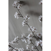 Zijden bloesemtak Cream/white 112 cm