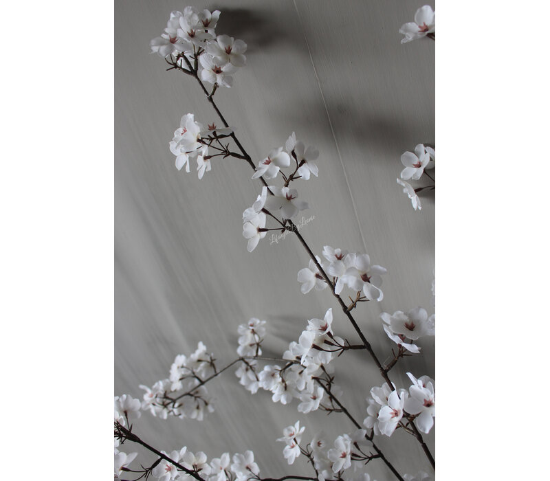 Zijden bloesemtak Cream/white 112 cm