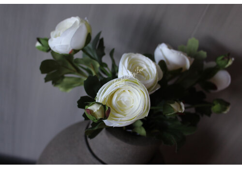 Zijden witte Ranonkel tak 35 cm