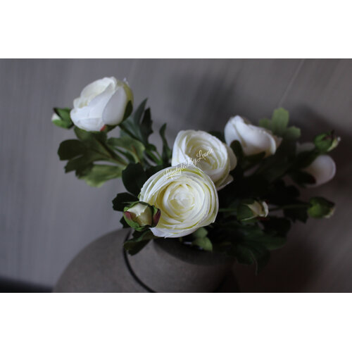 Zijden witte Ranonkel tak 35 cm 