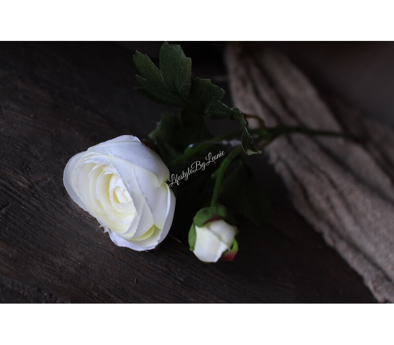 Zijden witte Ranonkel tak 35 cm