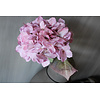 Brynxz Sylxz Hortensia light pink 65 cm