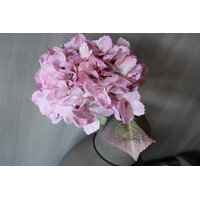 Sylxz Hortensia light pink 65 cm