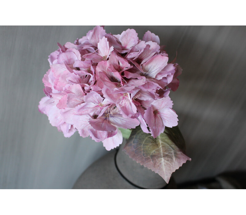 Sylxz hortensia 65cm Light pink