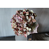 Brynxz Sylxz hortensia 65cm Oud groen