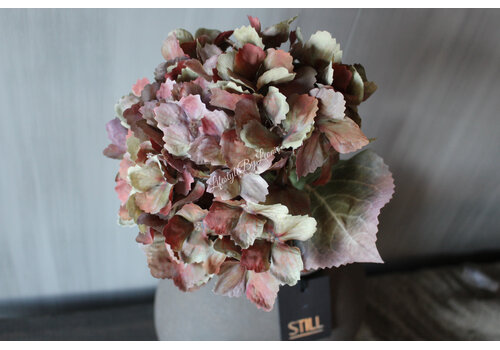 Brynxz Sylxz Hortensia oud groen 65 cm