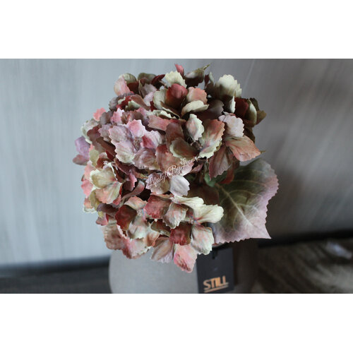 Sylxz Hortensia oud groen 65 cm 