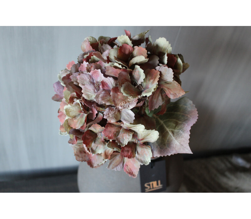 Sylxz hortensia 65cm Oud groen