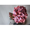 Brynxz Sylxz Hortensia oud roze 65 cm