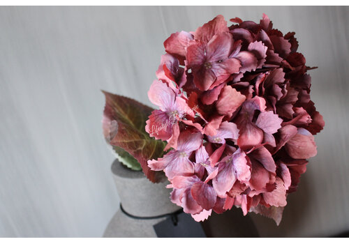 Brynxz Sylxz Hortensia oud roze 65 cm