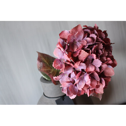 Sylxz Hortensia oud roze 65 cm 