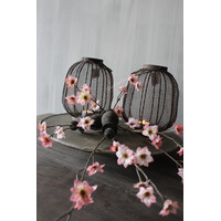 Sober houten klosje Black wash