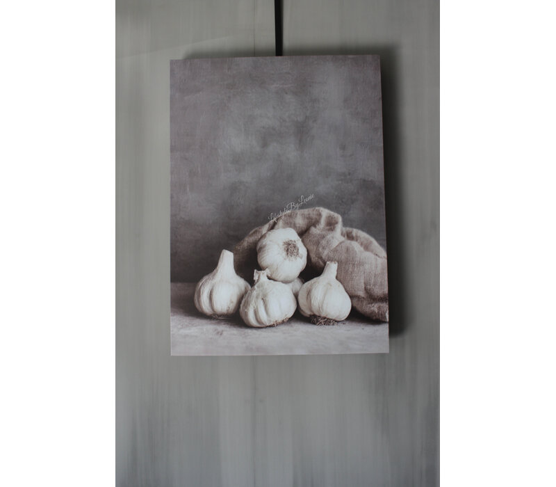 Canvas doek sober knoflook 70x50cm