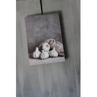 Canvasdoek sober knoflook 70 x 50 cm