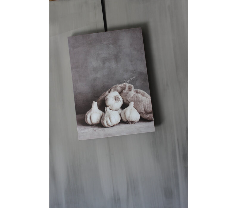 Canvas doek sober knoflook 70x50cm