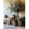 Aura Peeperkorn Aura Peeperkorn set buitenpotten 4 stuks