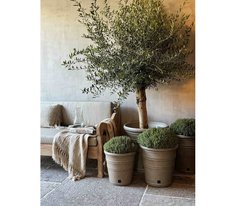 Aura Peeperkorn set buitenpotten 4 stuks