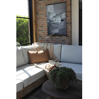 Tuinposter Perenbloesem 60x80cm