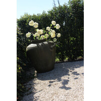 Sylxz Viburnum white 120 cm