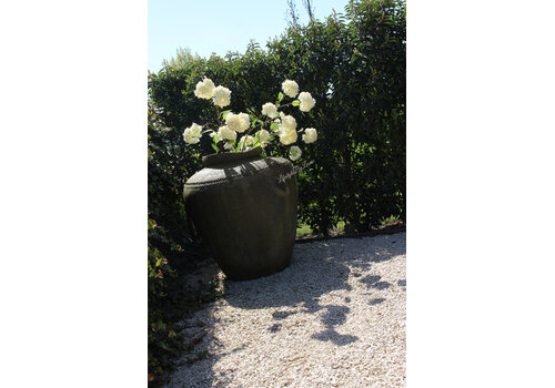 Brynxz Sylxz Viburnum white 120 cm