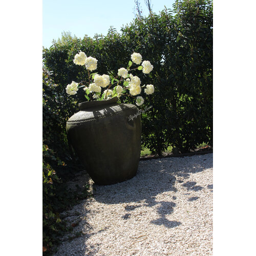 Sylxz Viburnum white 120 cm 