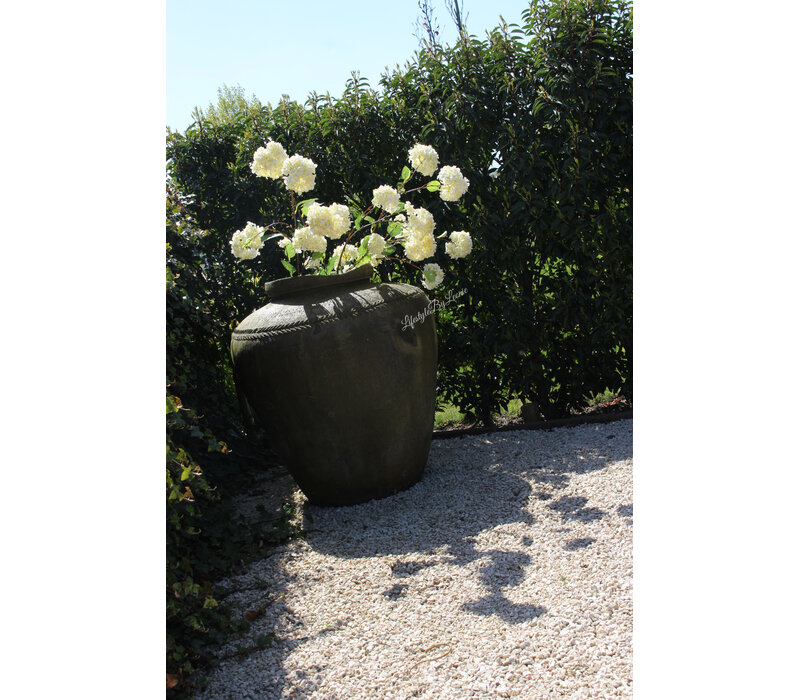 Sylxz Viburnum white 120 cm