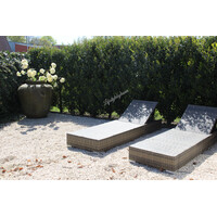 Sylxz Viburnum white 120 cm