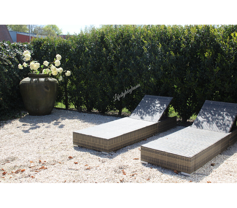 Sylxz Viburnum white 120 cm