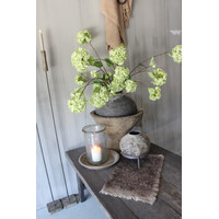 Sylxz Viburnum green 120 cm