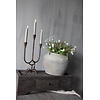 Namaak plant Plataan bolletjes wit 40 cm