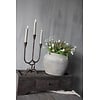 Namaak plant plataan bolletjes wit 40cm