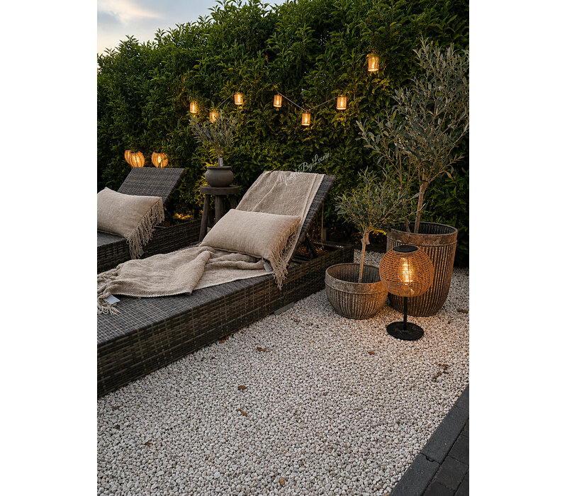 Rotan led snoer lampjes 200cm