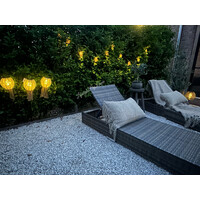 Rotan LED snoer lampjes 200 cm