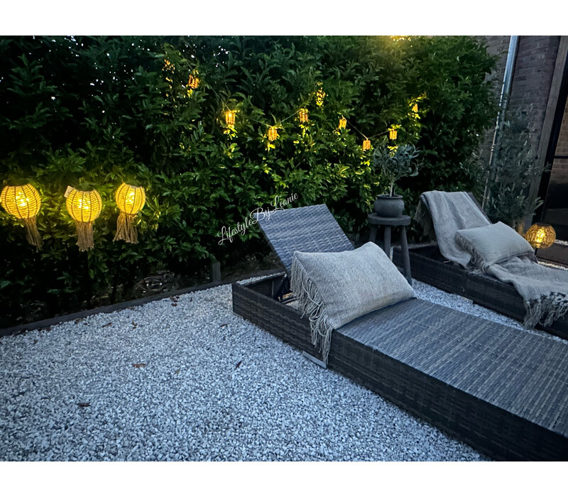 Rotan LED snoer lampjes 200 cm