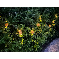 Rotan LED snoer lampjes 200 cm