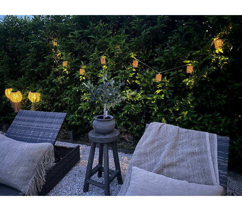 Rotan LED snoer lampjes 200 cm