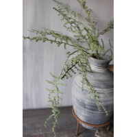 Namaak wilde Asparagus green 130 cm