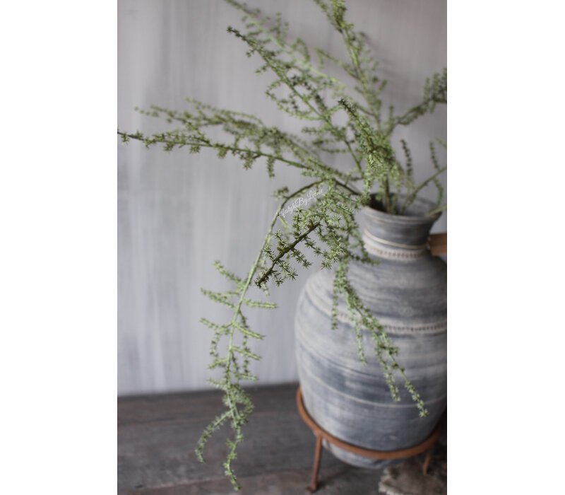 Namaak wilde Asparagus green 130 cm