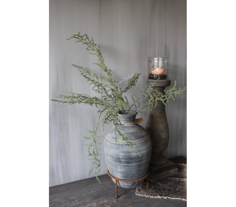 Namaak wilde Asparagus green 130 cm