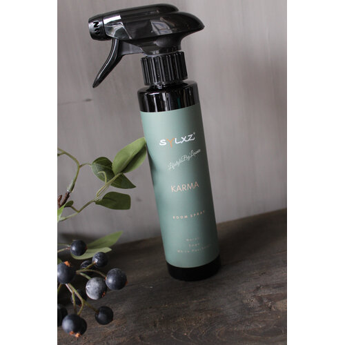 Brynxz roomspray Karma 250 ml 