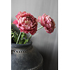 Brynxz Brynxz zijden tak Ranonkel old pink 50cm