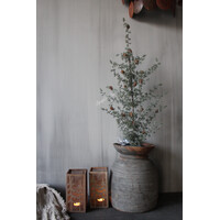 Vierkant roest windlicht met bomen 20 x 10 cm