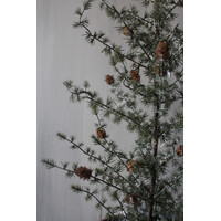 Ceder boom met LED 61 cm