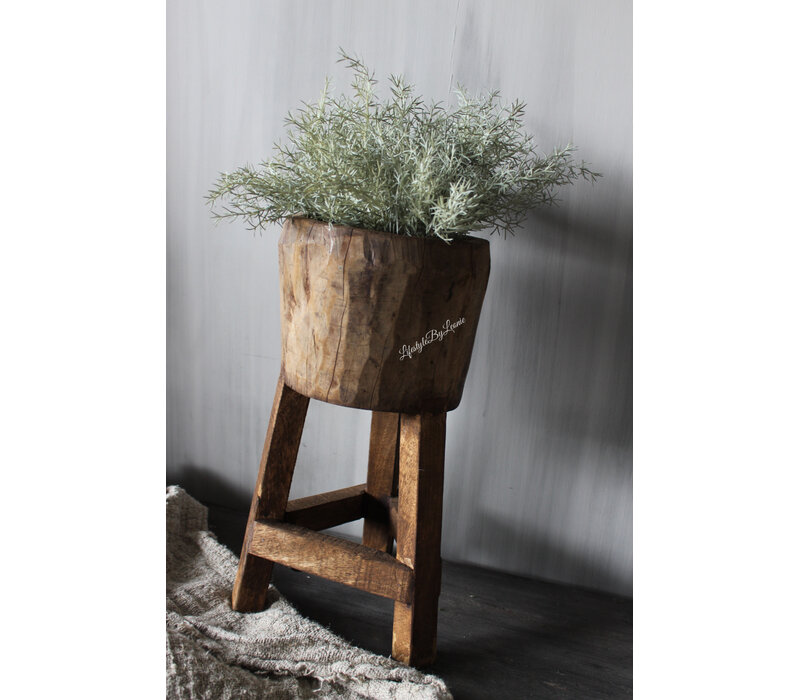 Namaak asparagus bush Grey wash 33cm