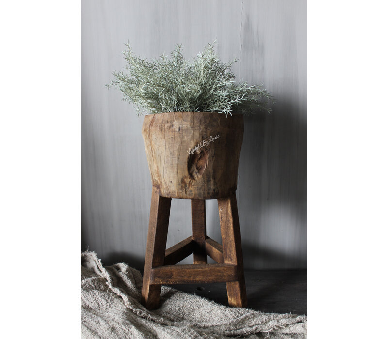 Namaak asparagus bush Grey wash 33cm