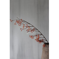 Namaak rozenbottel tak Rosa Canina oranje 105cm