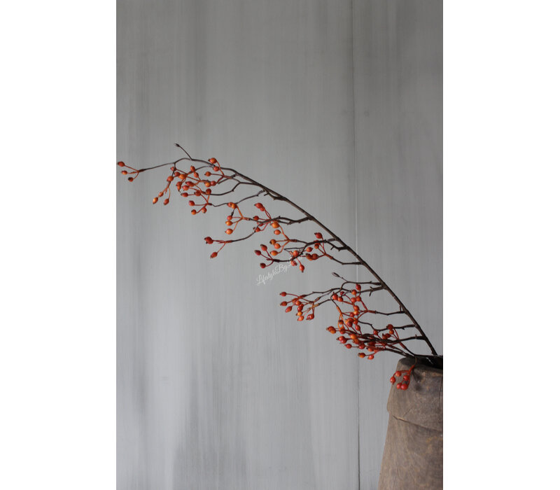 Namaak rozenbottel tak Rosa Canina oranje 105cm