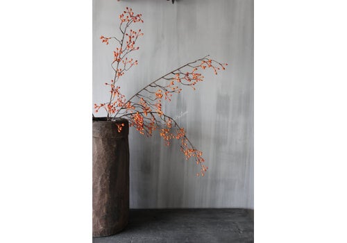 Namaak rozenbottel tak Rosa Canina oranje 105cm