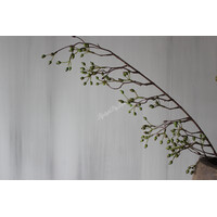 Namaak rozenbottel tak Rosa Canina groen 105cm